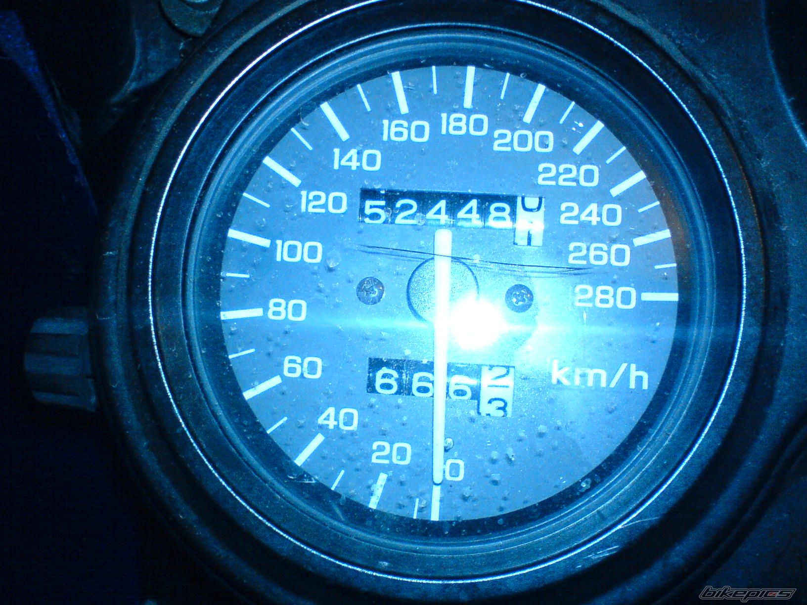 1993 HONDA CBR 600 | Picture 1231836 motorcycle photo