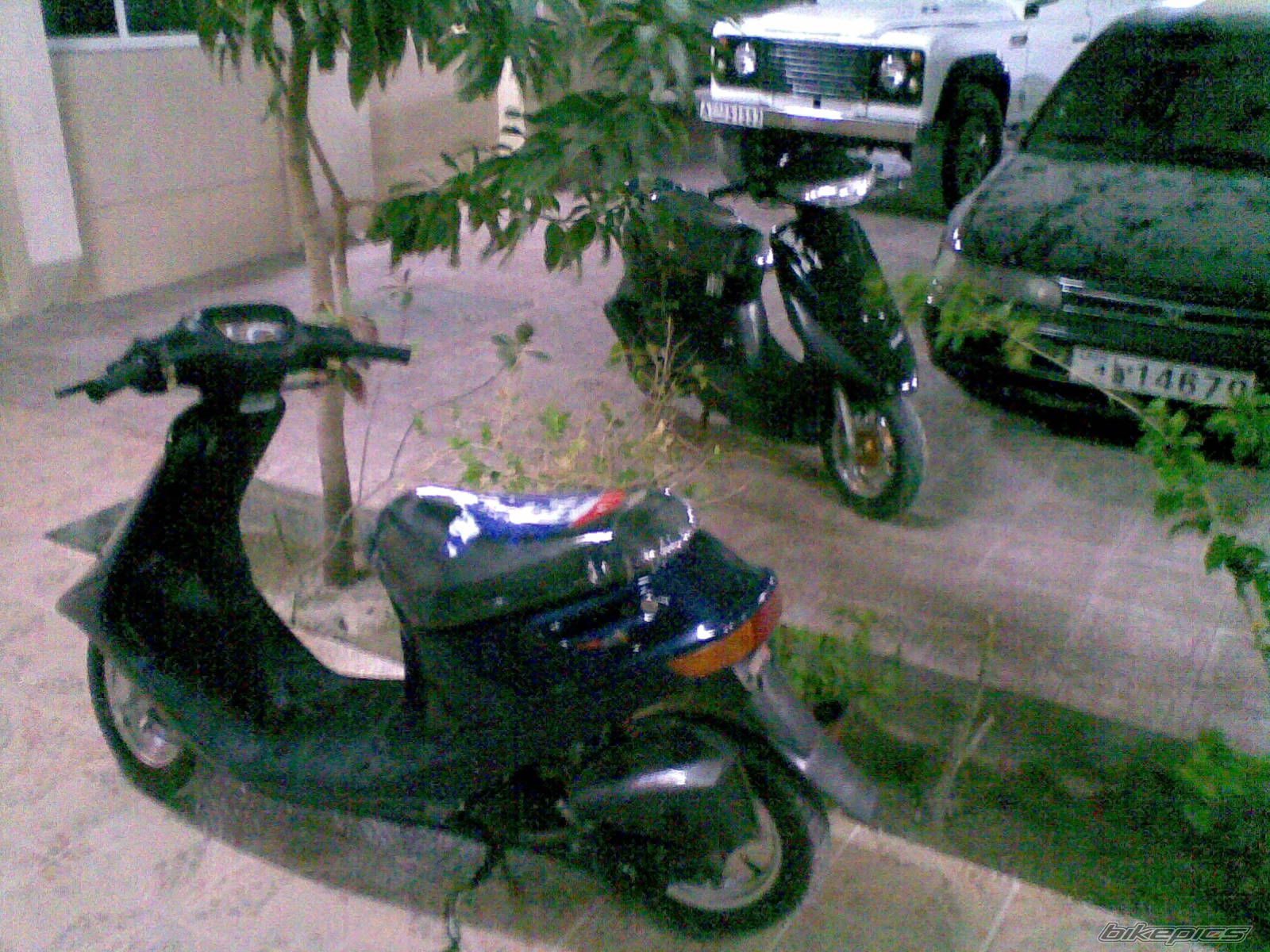 2008 HONDA HONDA DIO | Picture 1231865 motorcycle photo