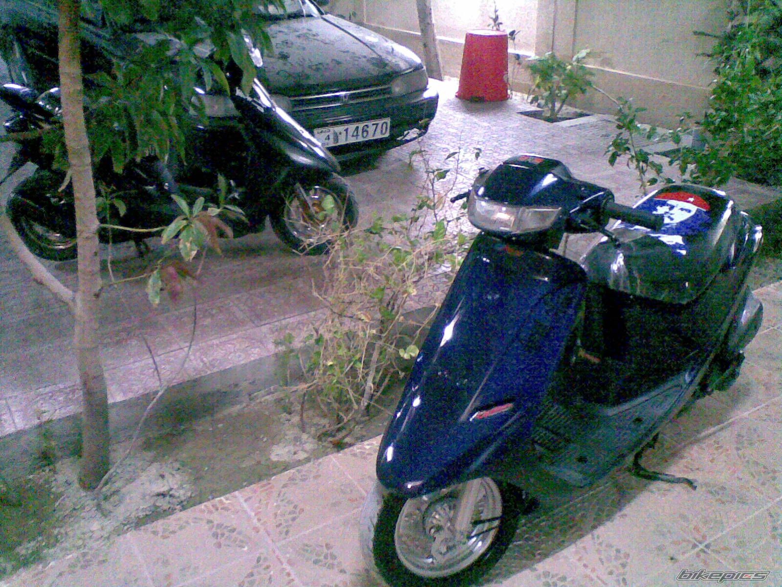 2008 HONDA HONDA DIO | Picture 1231866 motorcycle photo