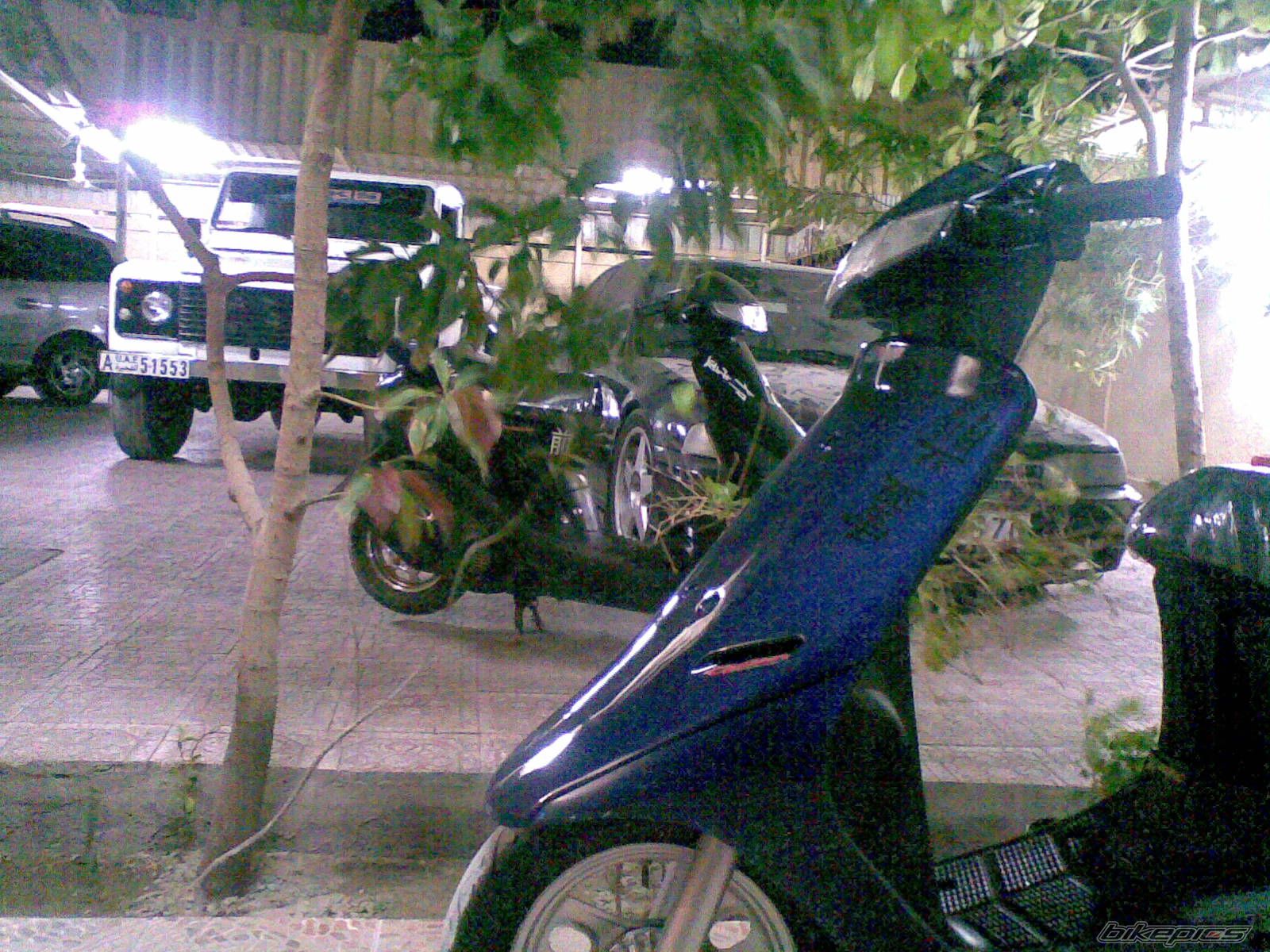 2008 HONDA HONDA DIO | Picture 1231869 motorcycle photo