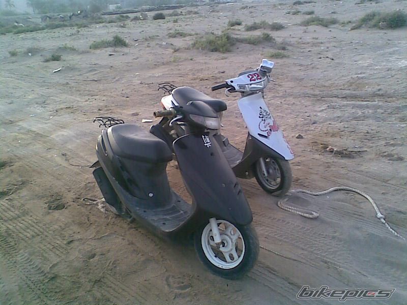 2008 HONDA HONDA DIO | Picture 1231876 motorcycle photo
