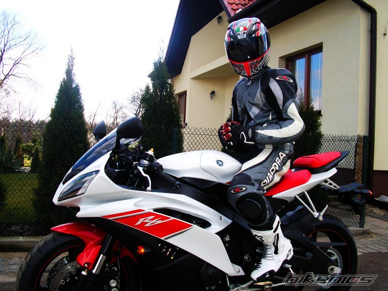 2008 YAMAHA YZF R6 | Picture 1232301 motorcycle photo