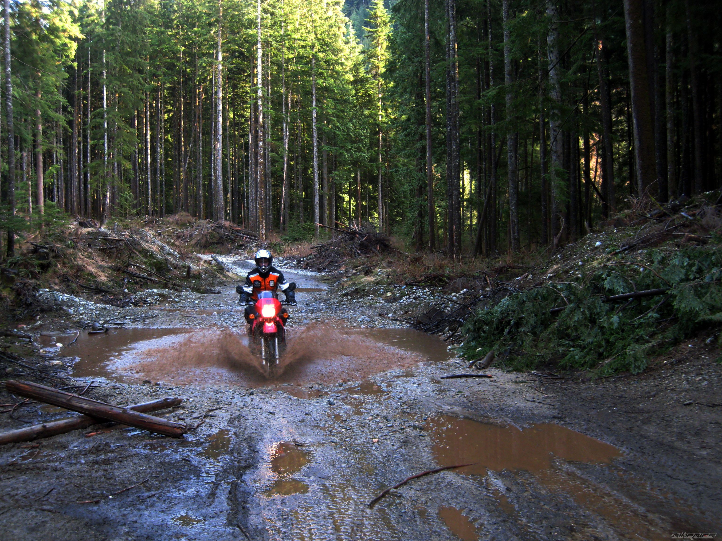 2004 KAWASAKI KLR 650 | Picture 1232716 motorcycle photo