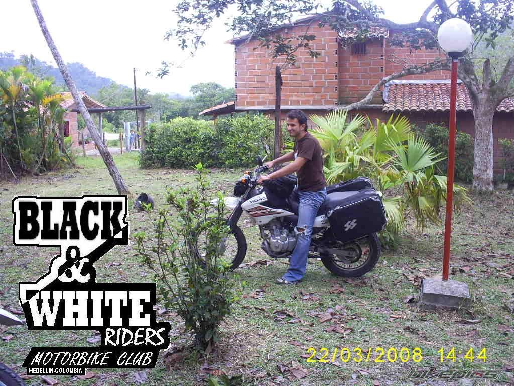 2007 HONDA NXR 125 | Picture 1232730 motorcycle photo