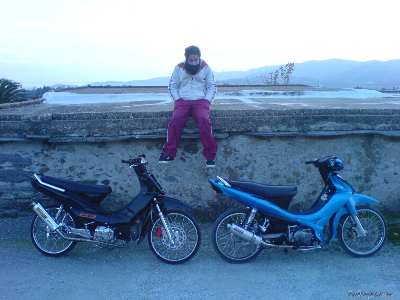 2008 HONDA GLX 50 | Picture 1232800 motorcycle photo