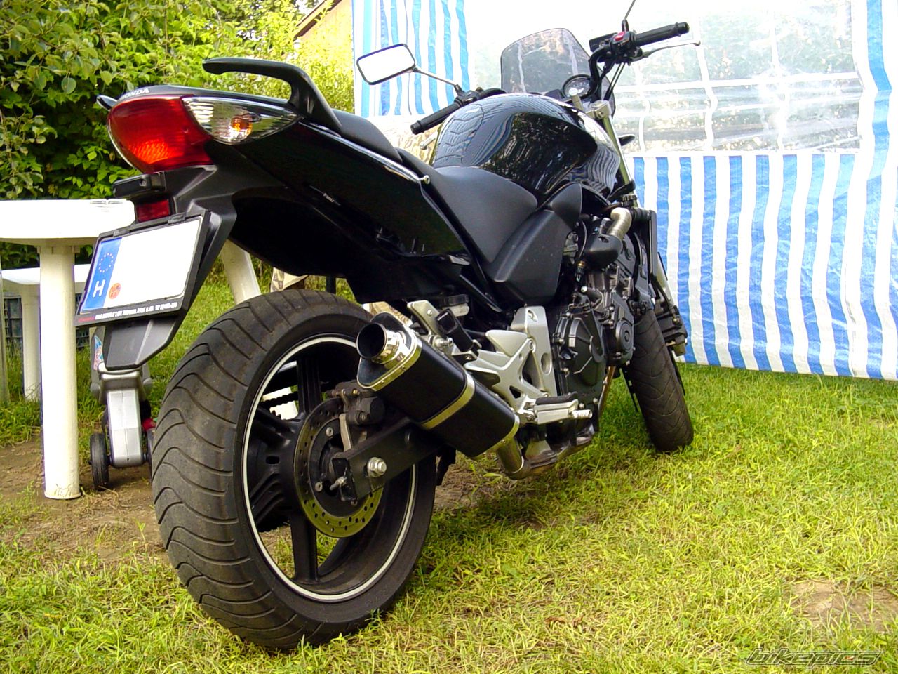 2005 HONDA CBF 600 | Picture 1232948 motorcycle photo