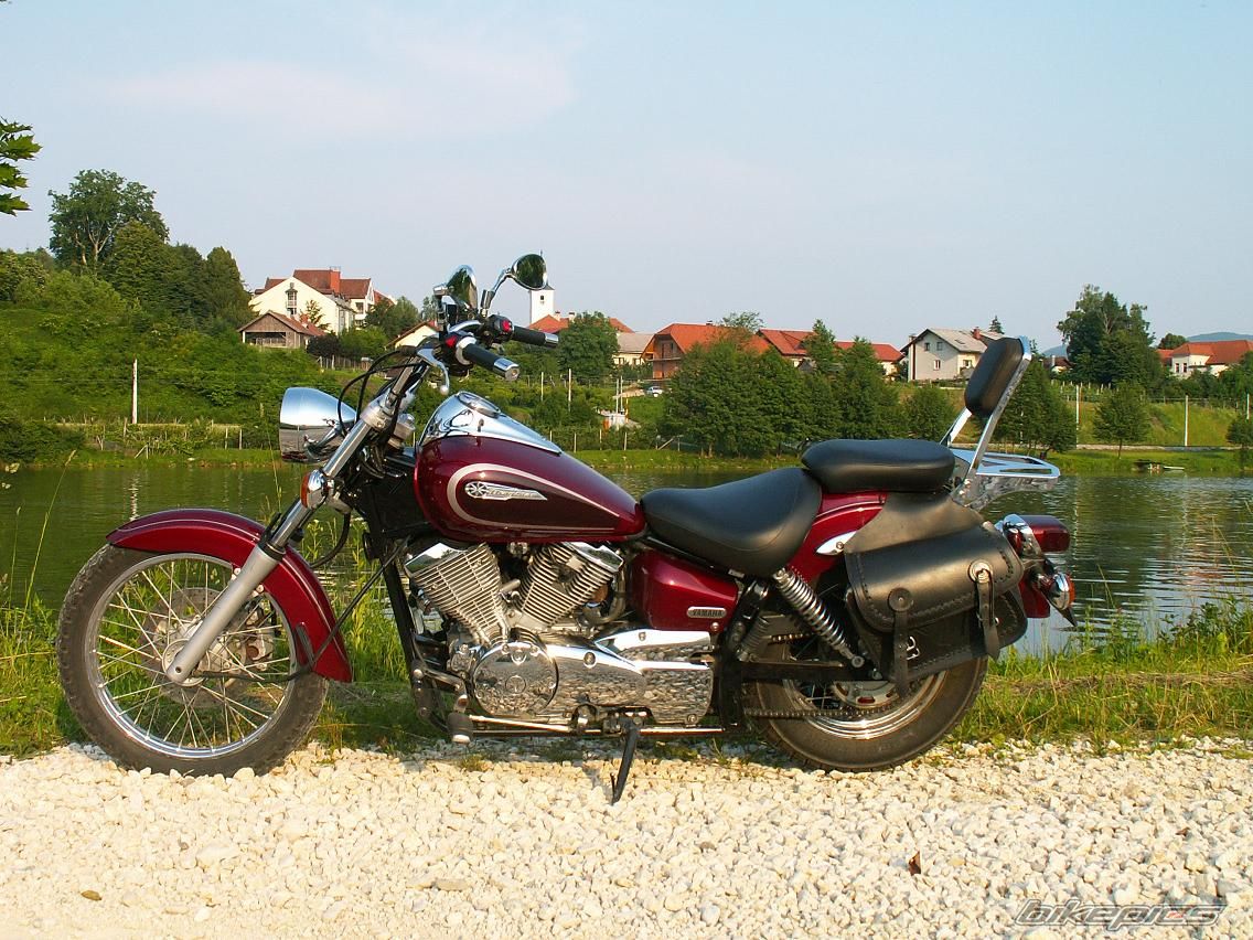 2002 YAMAHA XVS 250 DRAGSTAR | Picture 1233295 motorcycle photo