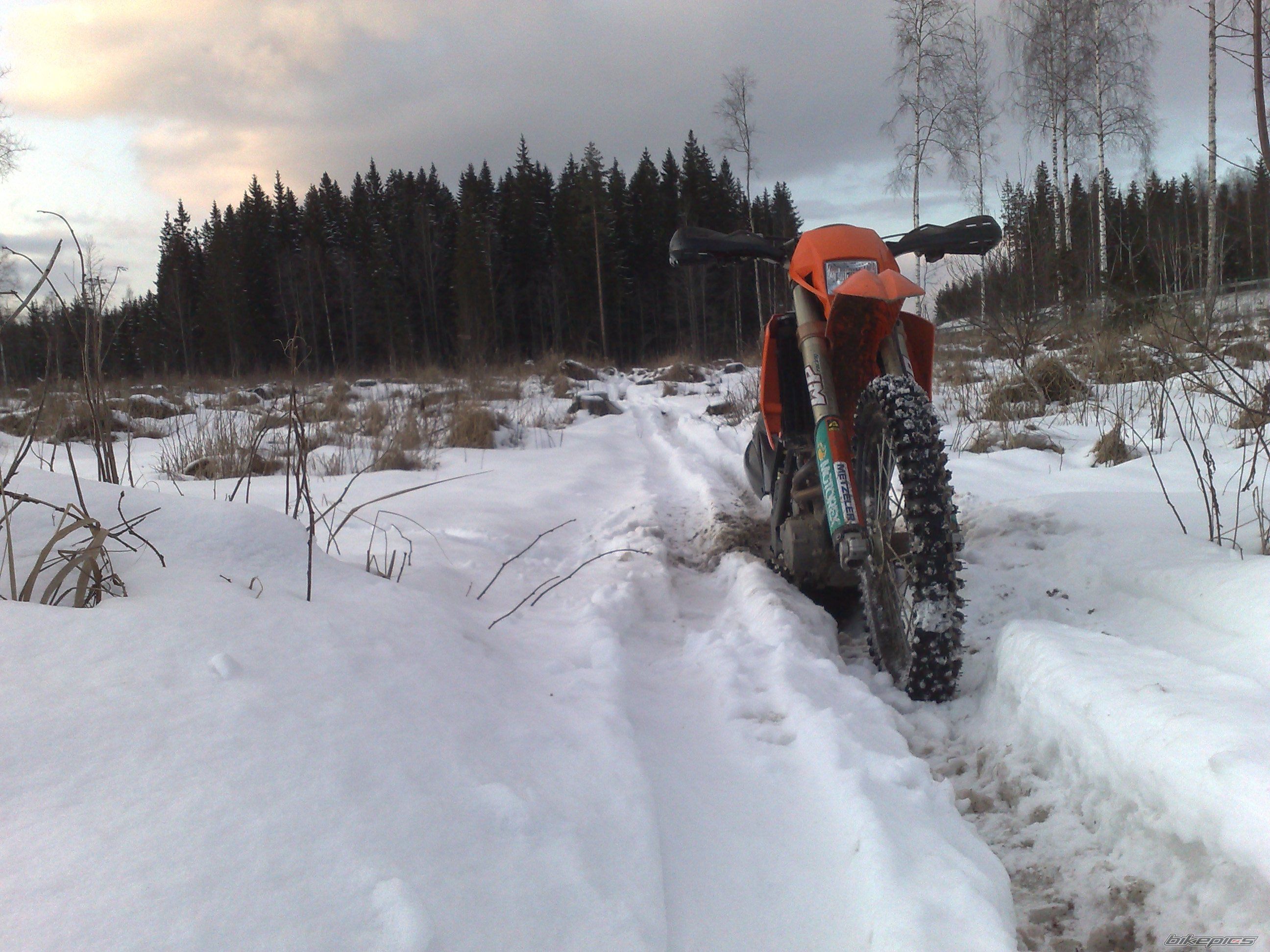 2005 KTM 625 SXC | Picture 1233352 motorcycle photo