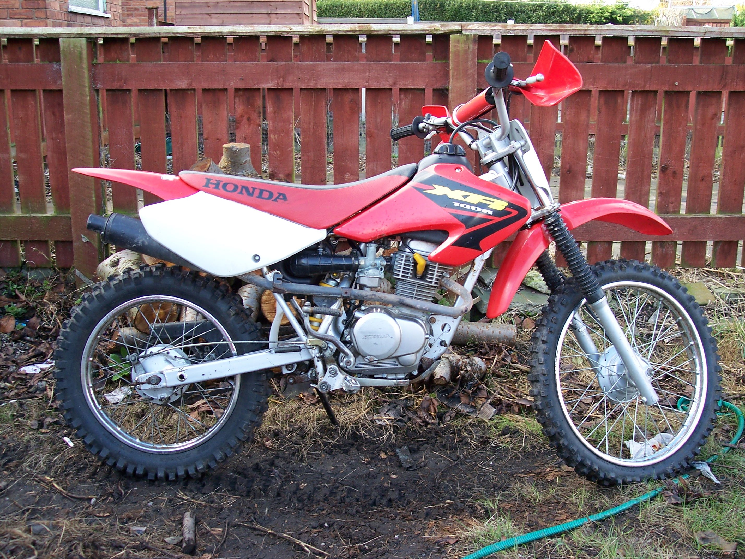 2003 HONDA XR 100 | Picture 1233448 motorcycle photo