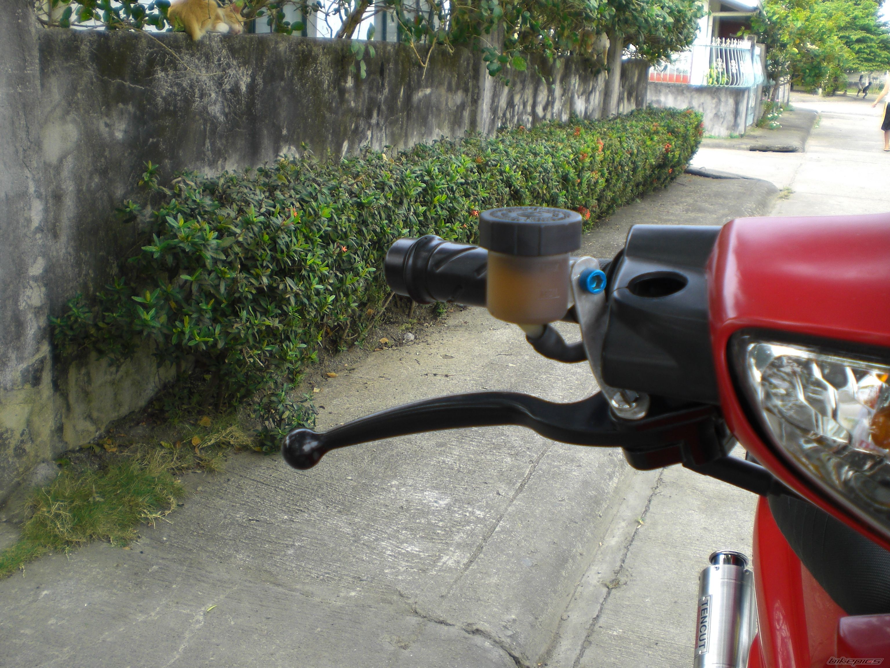 2008 HONDA WAVE ALPHA 100 | Picture 1233596 motorcycle photo