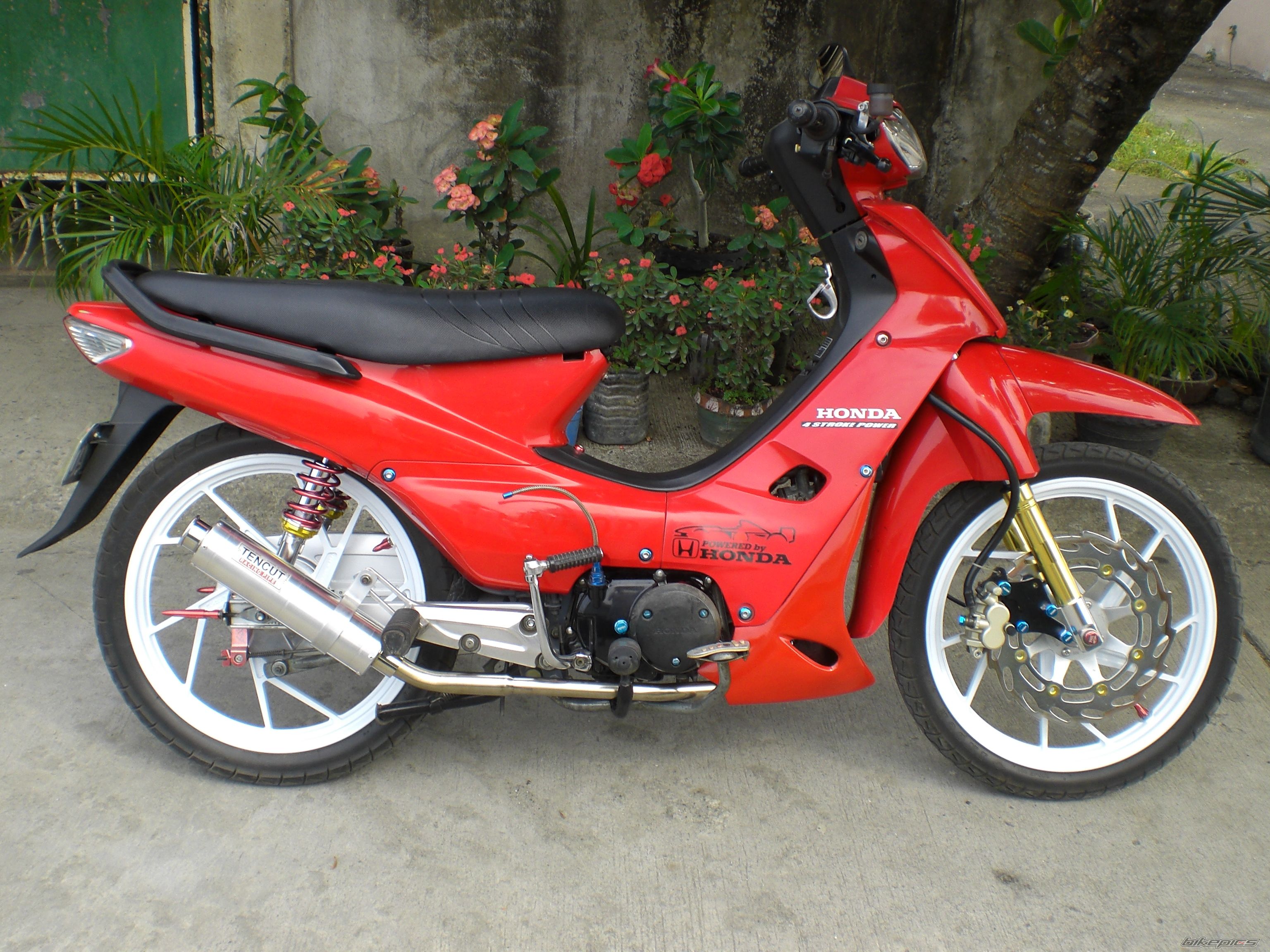 2008 HONDA WAVE ALPHA 100 | Picture 1233602 motorcycle photo