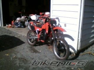 1982 HONDA CR 125 | Picture 1234773 motorcycle photo