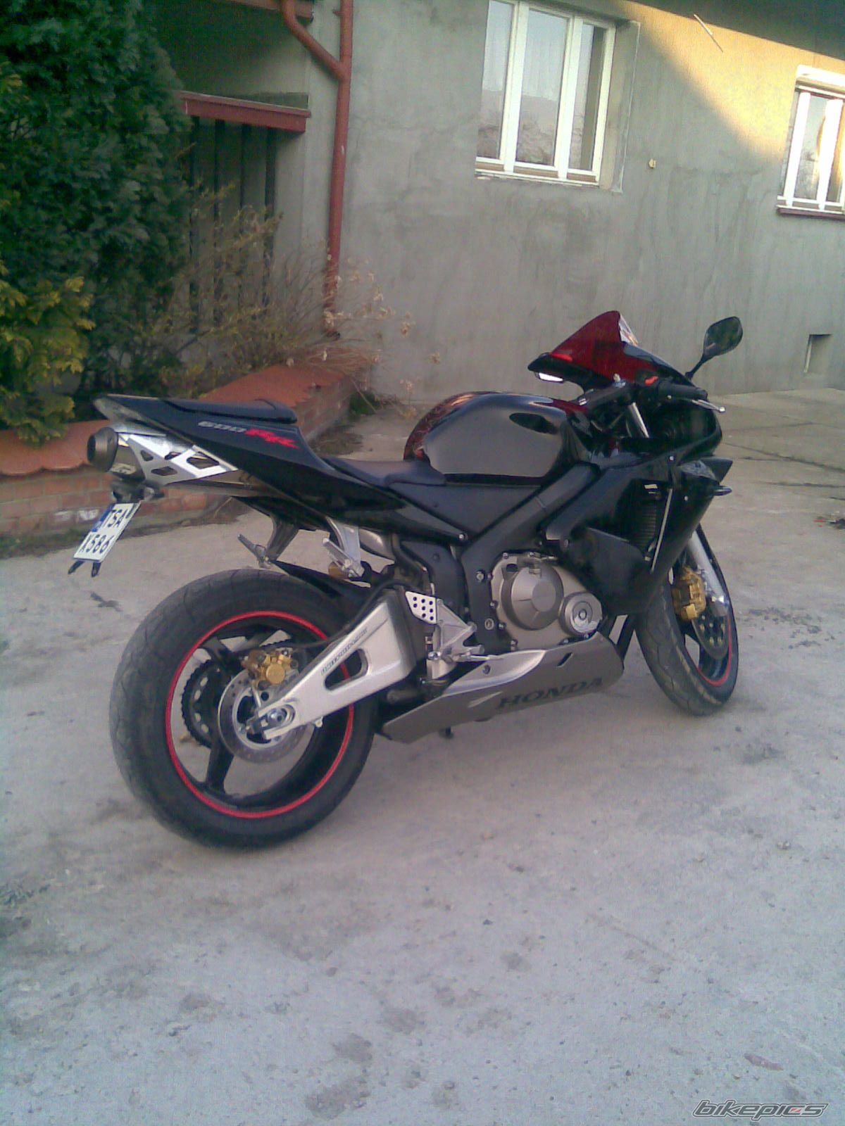 2003 HONDA CBR 600 RR | Picture 1235442 motorcycle photo