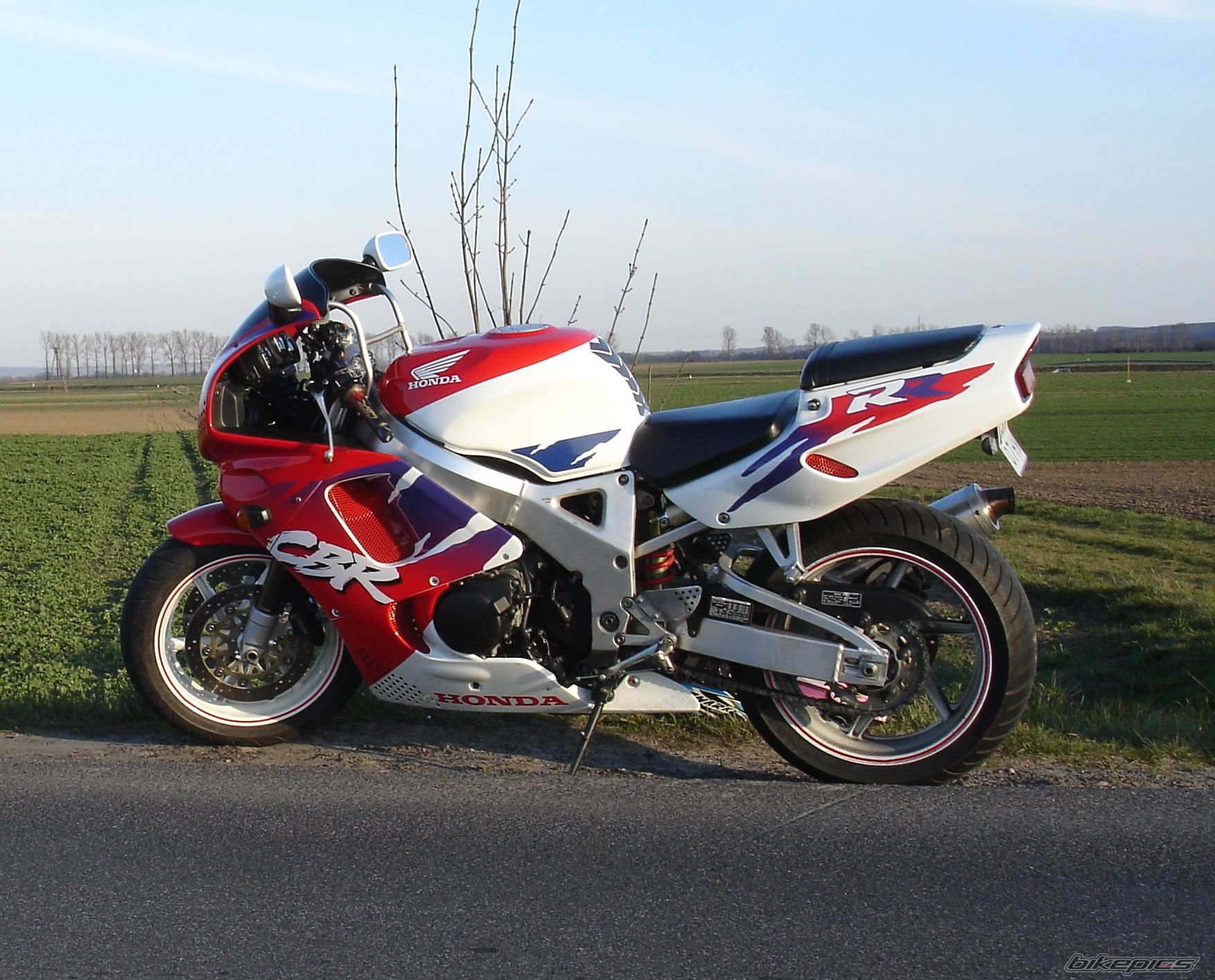 1996 HONDA CBR 900 | Picture 1235636 motorcycle photo