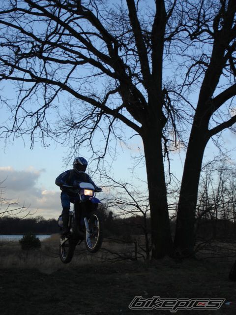 1997 YAMAHA DT 125 | Picture 1235696 motorcycle photo