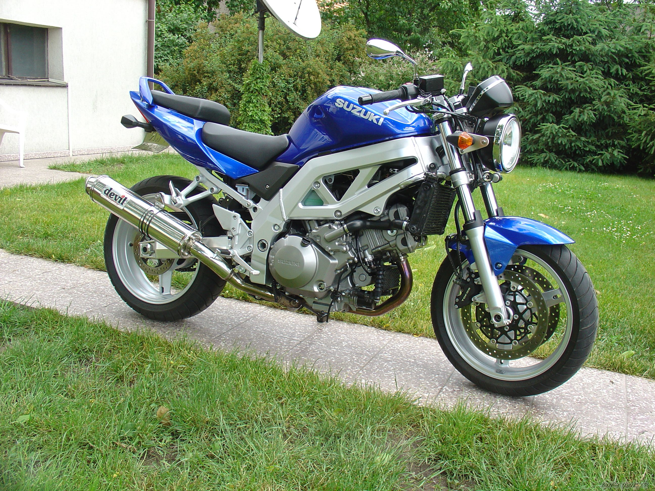 2004 SUZUKI SV 1000 | Picture 1235962 motorcycle photo
