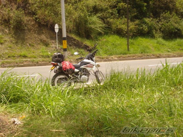 2008 HONDA NXR 125 | Picture 1236058 motorcycle photo