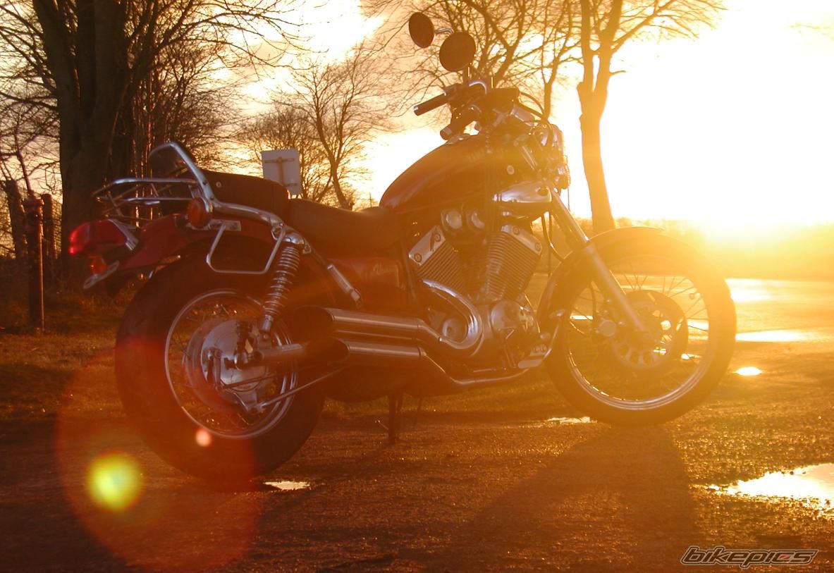 1991 YAMAHA VIRAGO 535 | Picture 1236092 motorcycle photo