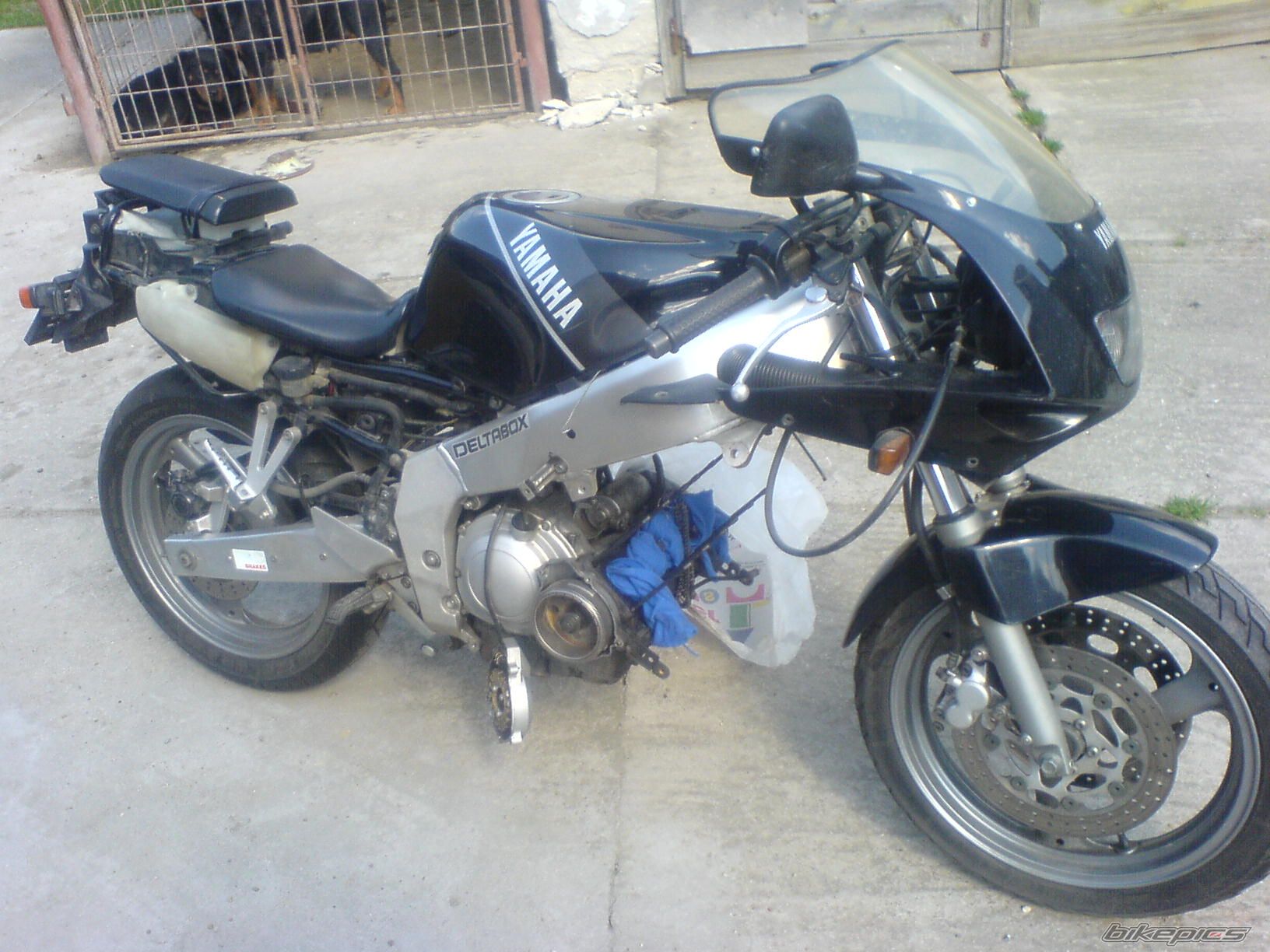 1990 YAMAHA FZR 250 EXUP | Picture 1236300 motorcycle photo