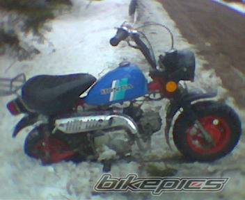 1990 HONDA Z 50 | Picture 123668 motorcycle photo
