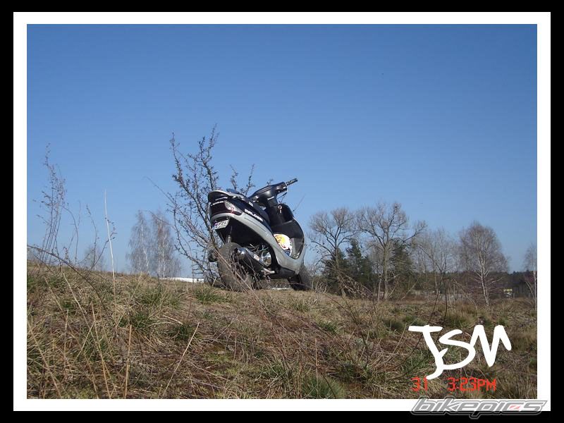 2004 YLSMCO FD50QT | Picture 1236847 motorcycle photo