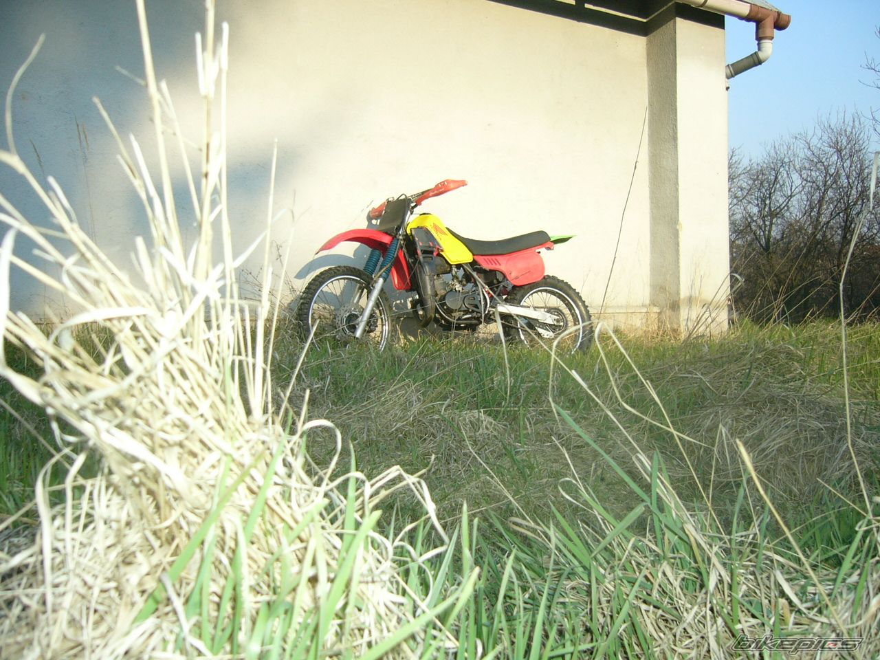 1989 HONDA MTX 80 | Picture 1236934 motorcycle photo