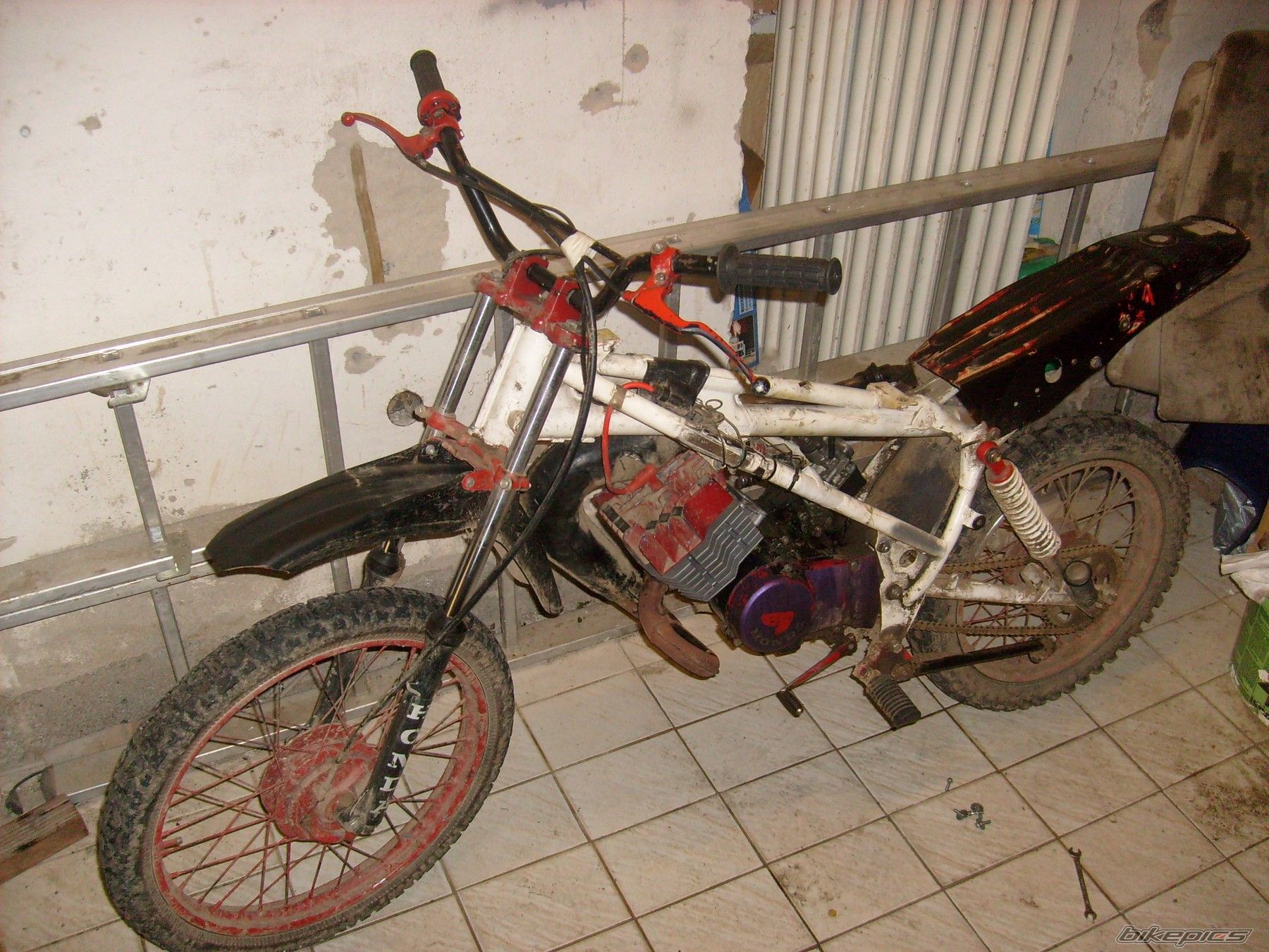 1982 HONDA MT 8 | Picture 1237031 motorcycle photo