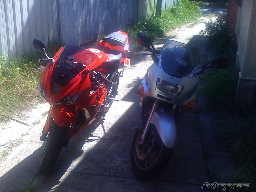 2008 TRIUMPH DAYTONA 675 | Picture 1237519 motorcycle photo