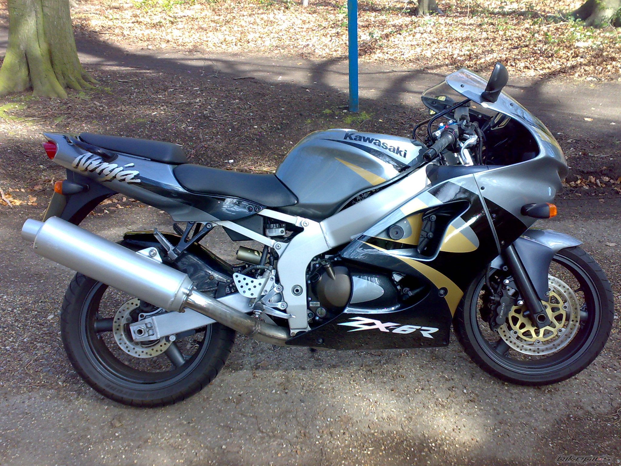 1999 KAWASAKI ZX 6R | Picture 1237753 motorcycle photo