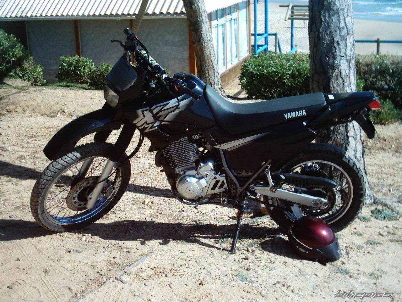2000 YAMAHA XT 600 | Picture 123817 motorcycle photo
