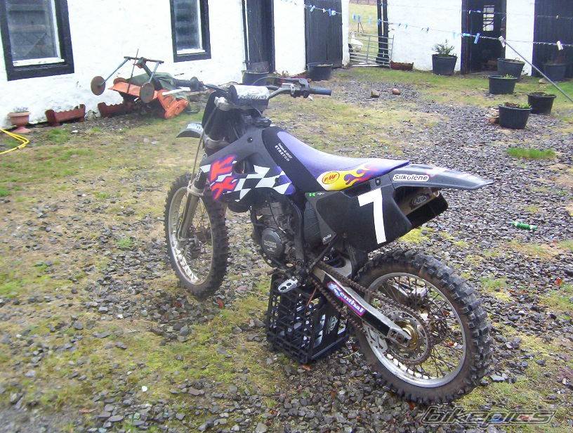 1994 KAWASAKI KX 125 | Picture 123819 motorcycle photo