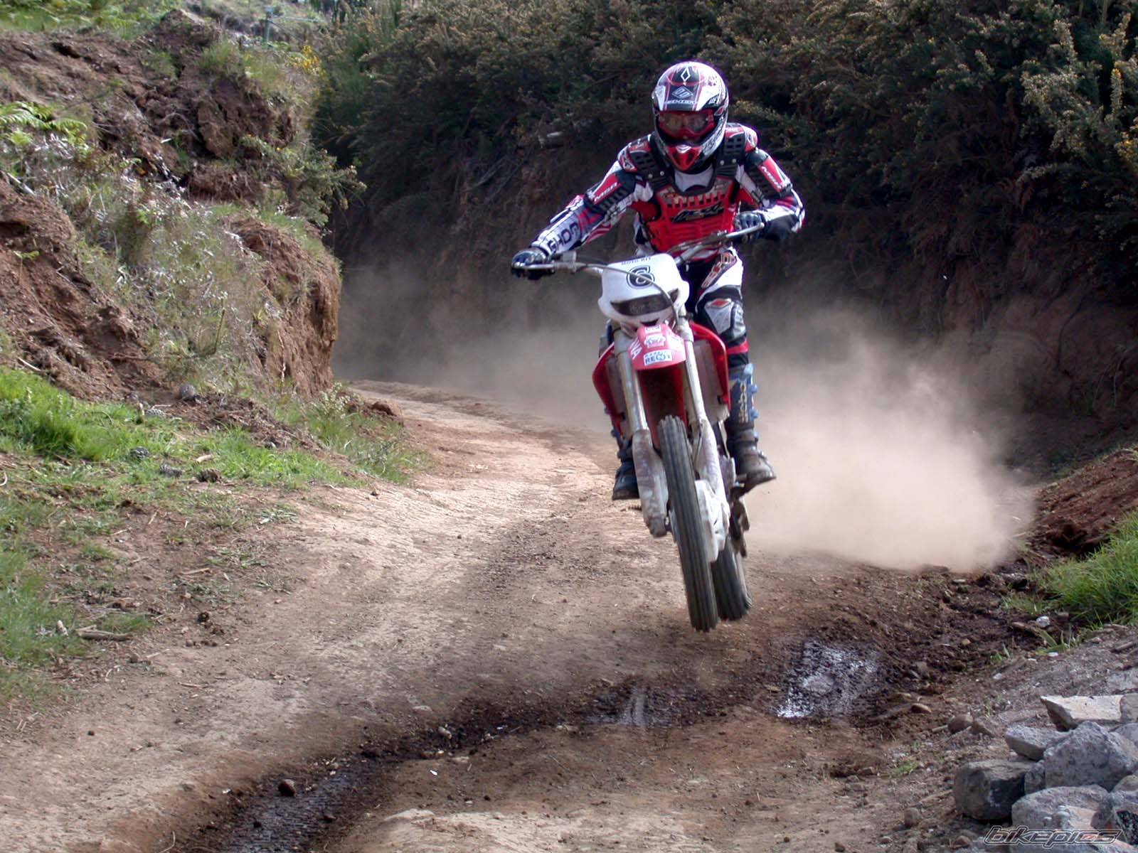 2003 HONDA CRF 450 | Picture 123845 motorcycle photo