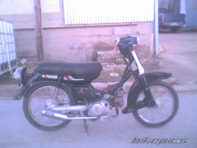 2008 HONDA GLX 50 | Picture 1239071 motorcycle photo