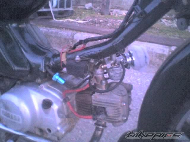 2008 HONDA GLX 50 | Picture 1239076 motorcycle photo