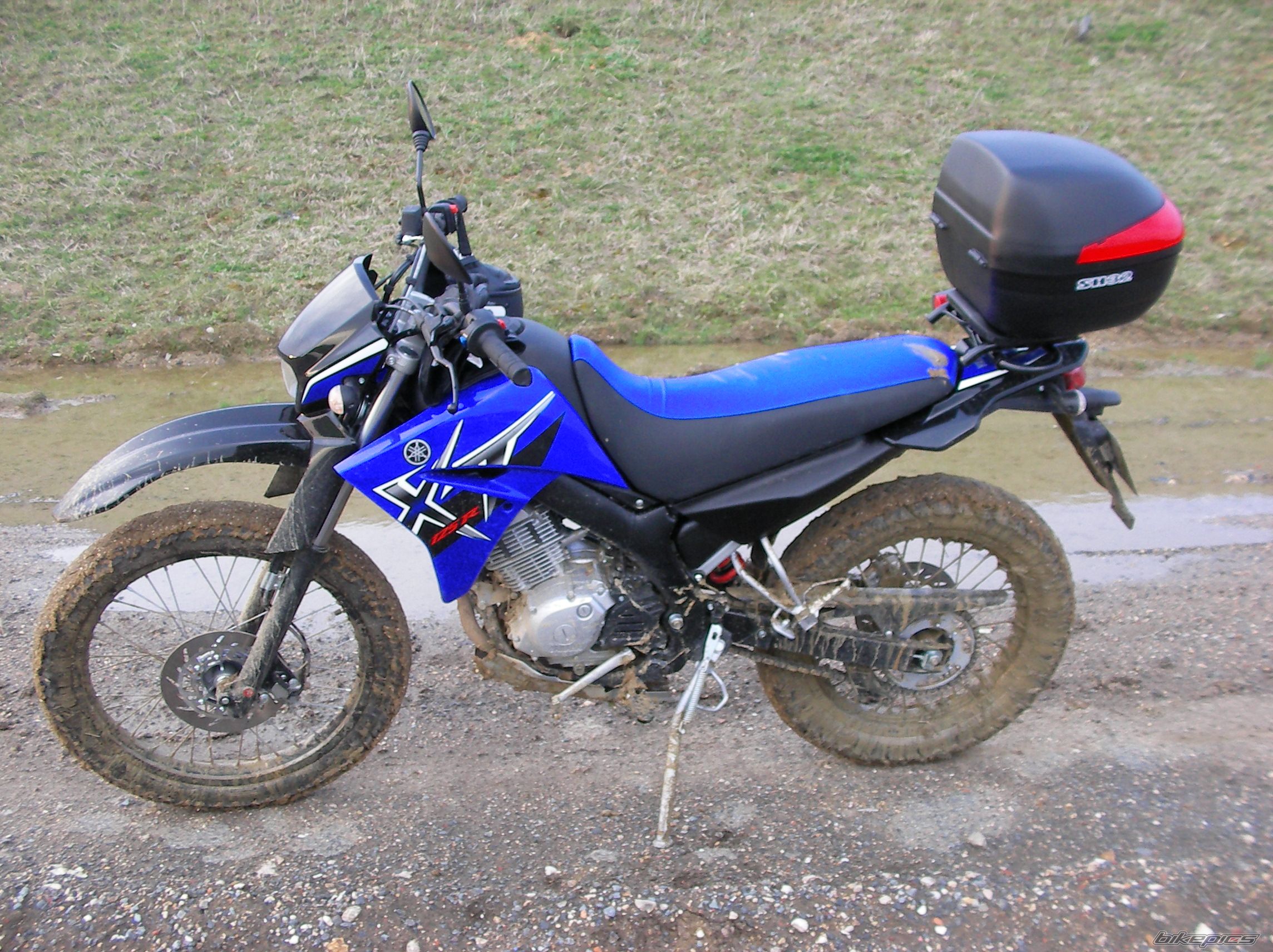 2008 YAMAHA XT 125 | Picture 1239389 motorcycle photo