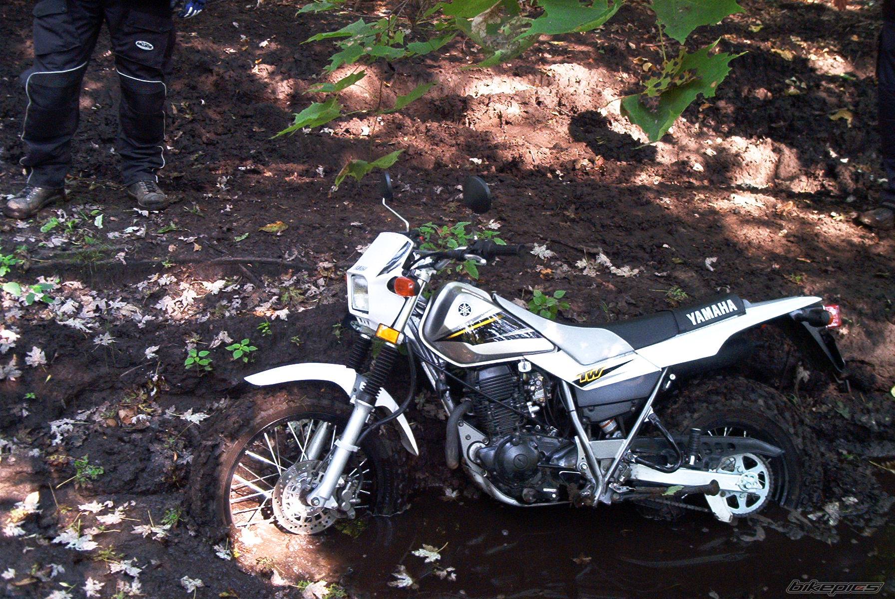 2003 YAMAHA TW 200 | Picture 123942 motorcycle photo