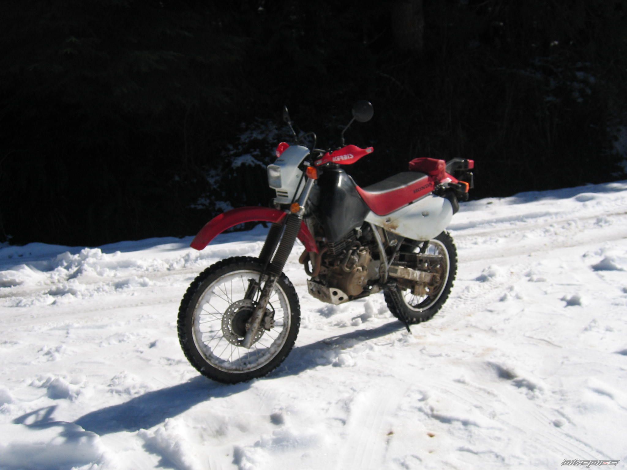 2008 HONDA XR 650 | Picture 1239723 motorcycle photo