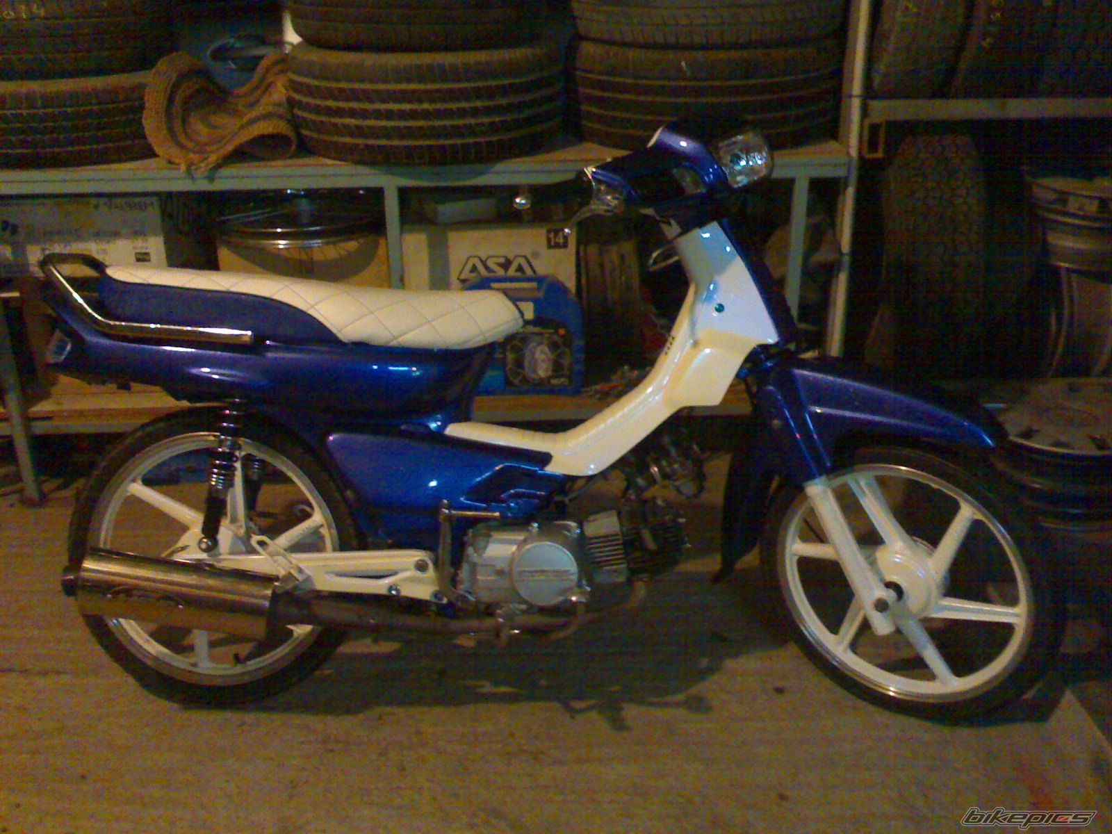 2008 HONDA GLX 50 | Picture 1239729 motorcycle photo