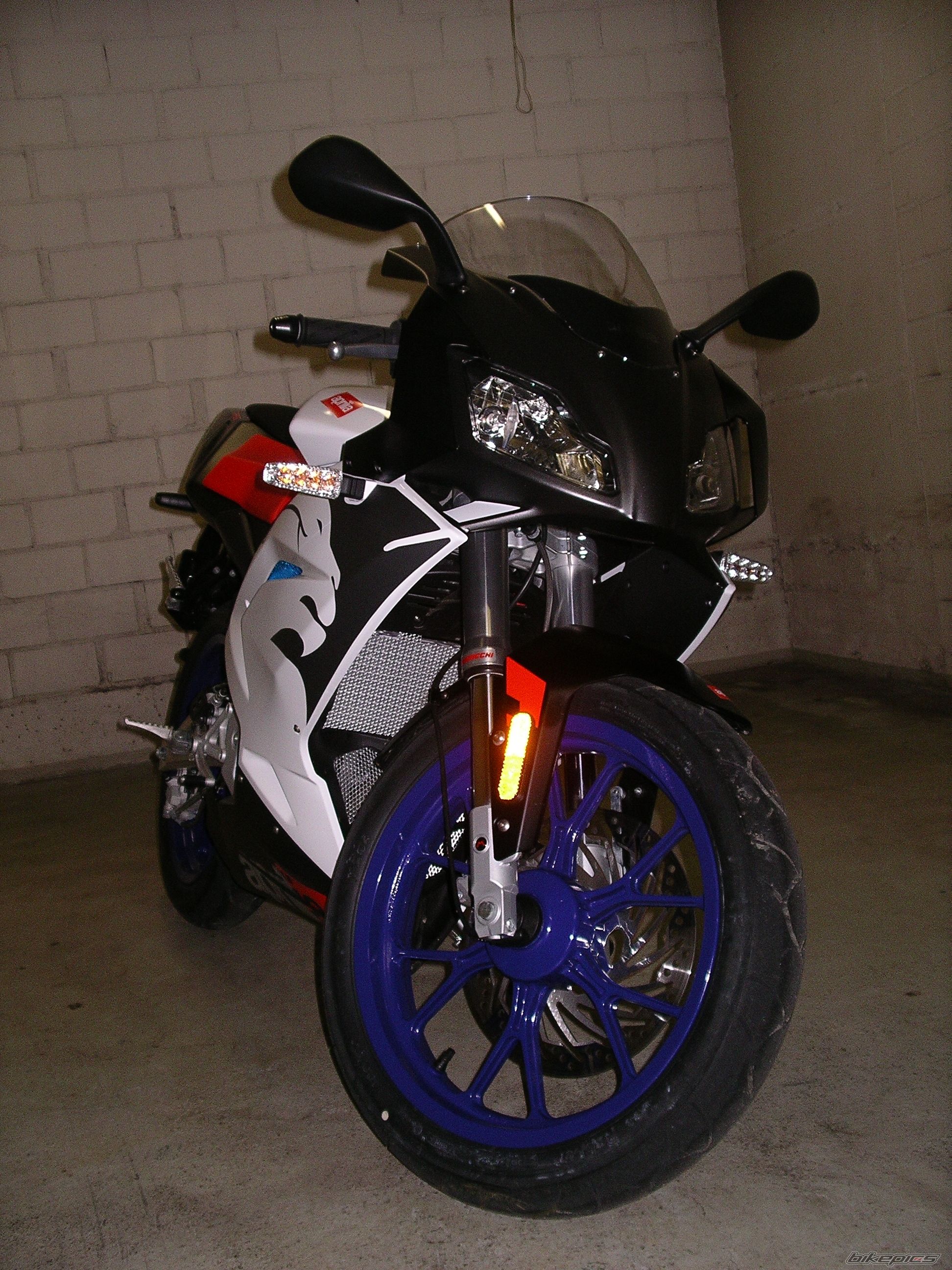 2008 APRILIA RS 50 | Picture 1239743 motorcycle photo