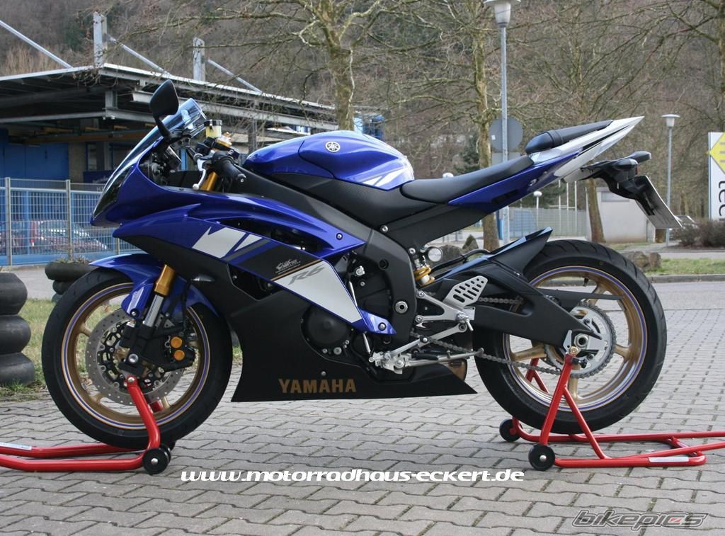 2008 YAMAHA YZF R6 | Picture 1239961 motorcycle photo