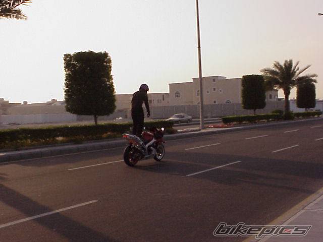 1999 YAMAHA YZF R1 | Picture 1240 motorcycle photo