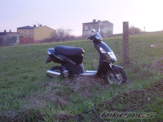 2004 DAELIM TAPO 50 | Picture 1240182 motorcycle photo