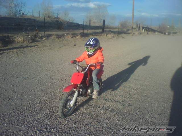2003 HONDA XR 50 | Picture 1240201 motorcycle photo