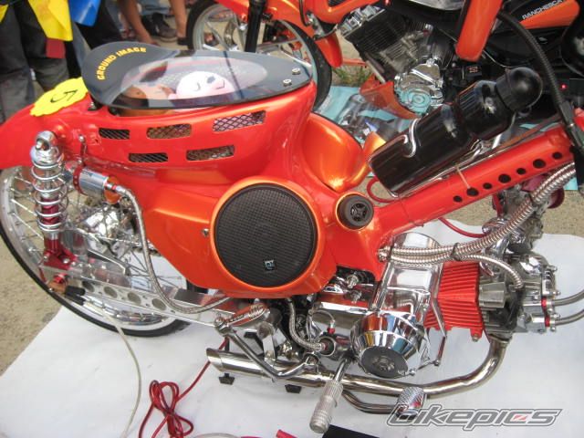 2008 HONDA C 70 | Picture 1240642 motorcycle photo