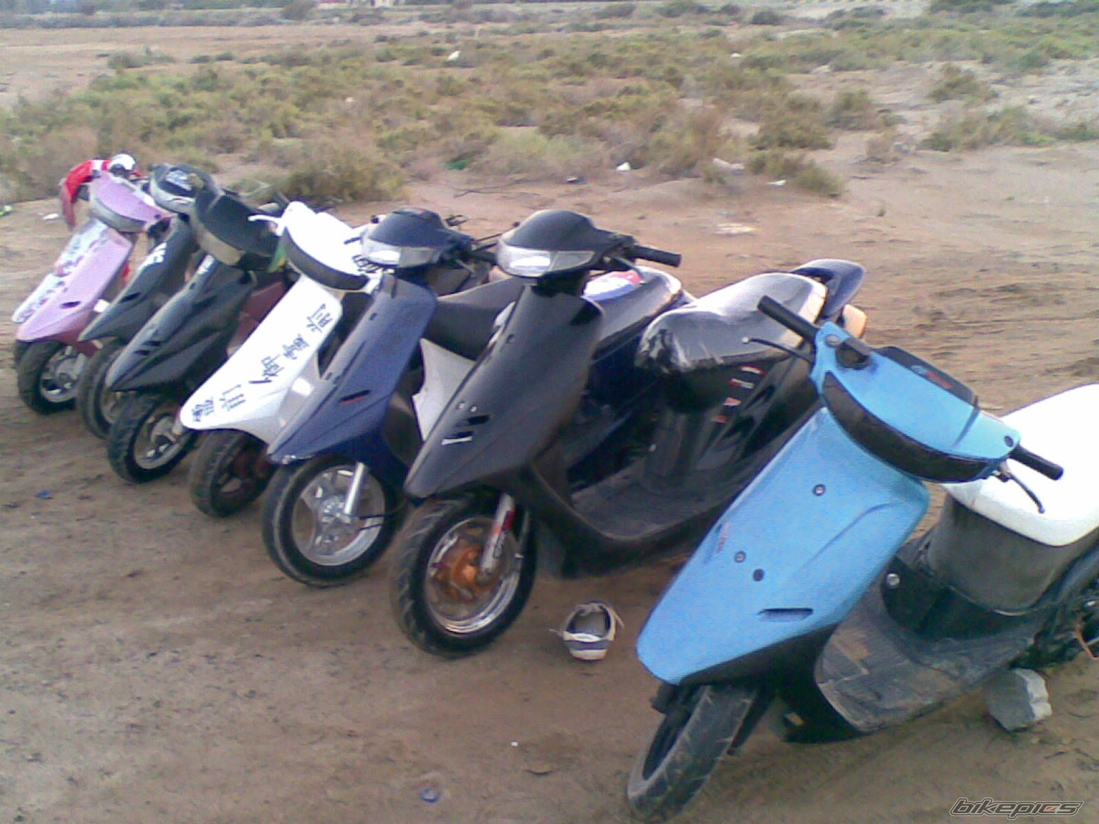 2008 HONDA HONDA DIO | Picture 1240821 motorcycle photo