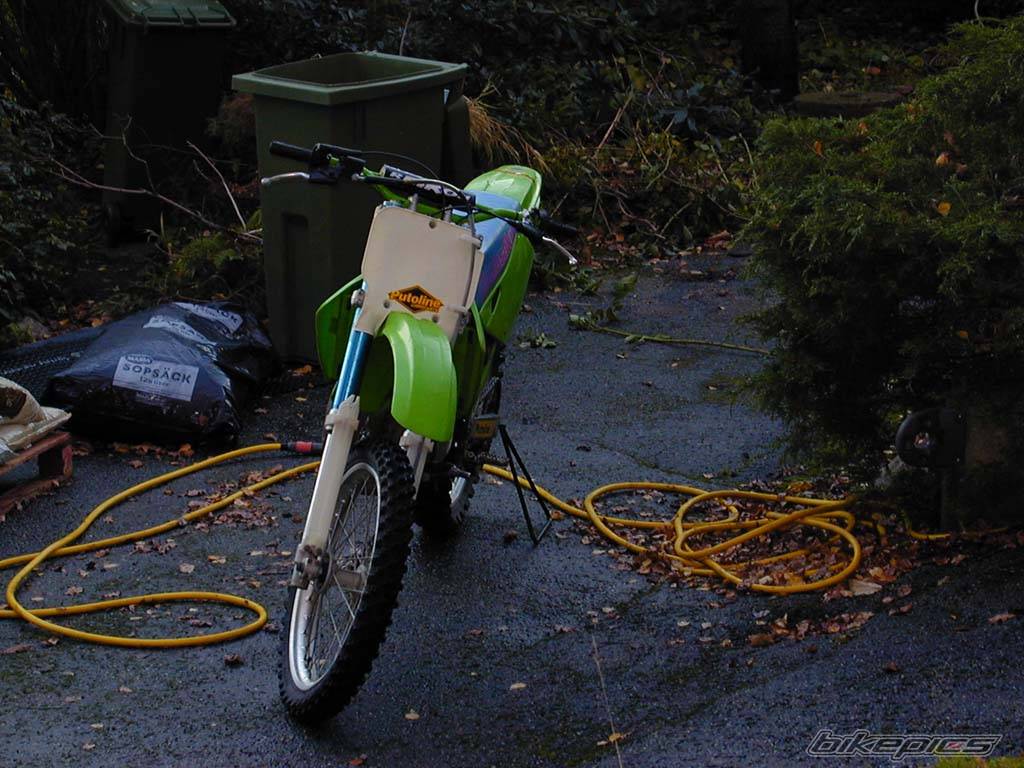 1993 KAWASAKI KX 125 | Picture 12412 motorcycle photo