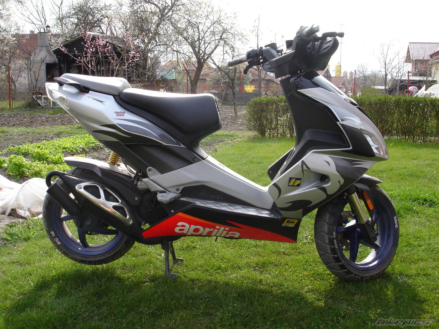 2006 APRILIA SR 50 | Picture 1241608 motorcycle photo