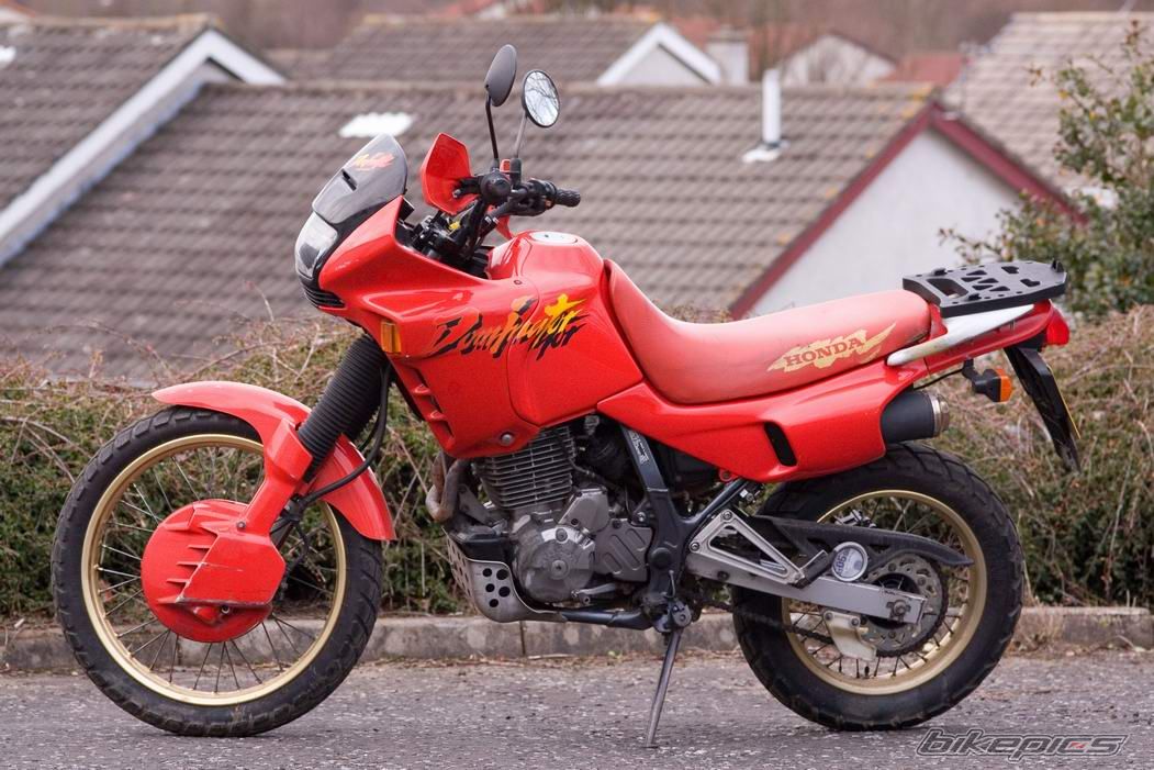 1993 HONDA NX 650 DOMINATOR | Picture 1241737 motorcycle photo