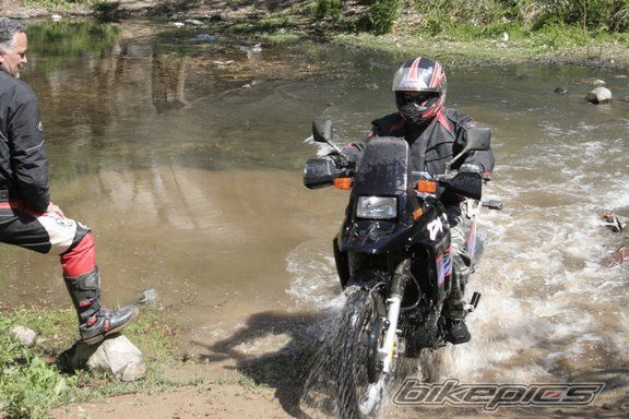 1994 SUZUKI DR 800 | Picture 1241807 motorcycle photo