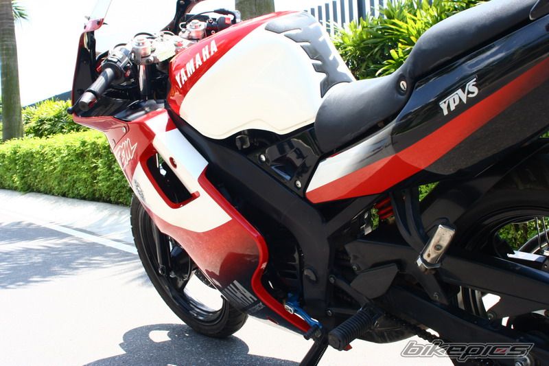 2008 YAMAHA TZM 150 | Picture 1241875 motorcycle photo